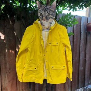 Yellow Raincoat